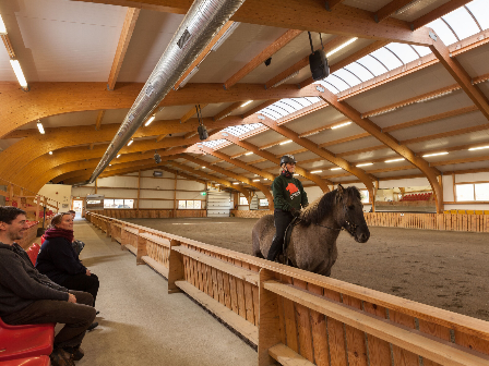 Iceland Horse Riding Tour 